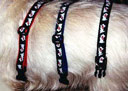 white terrier collar